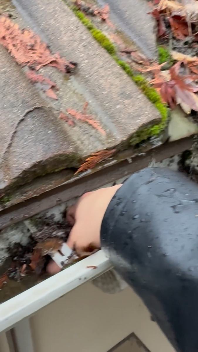 A gloved hand scooping wet leaves and moss out of a roof gutter