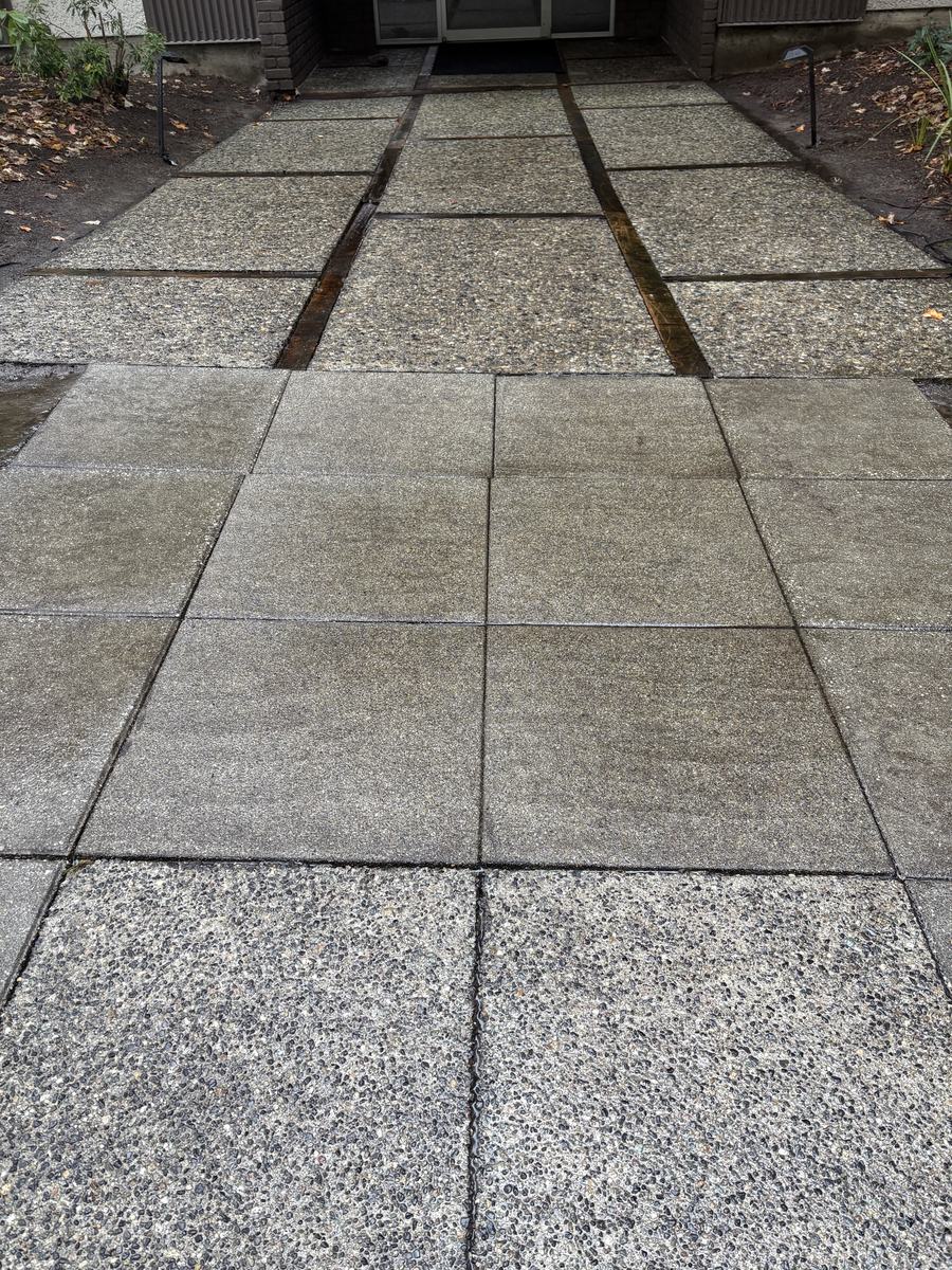 The same paver walkway with the leaves gone and the pavers washed clean
