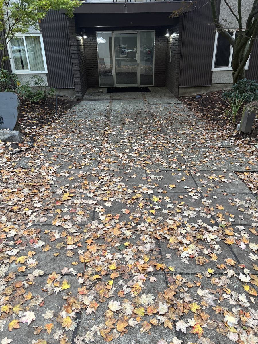 A paver walkway up to a building entrance buried under fallen maple leaves