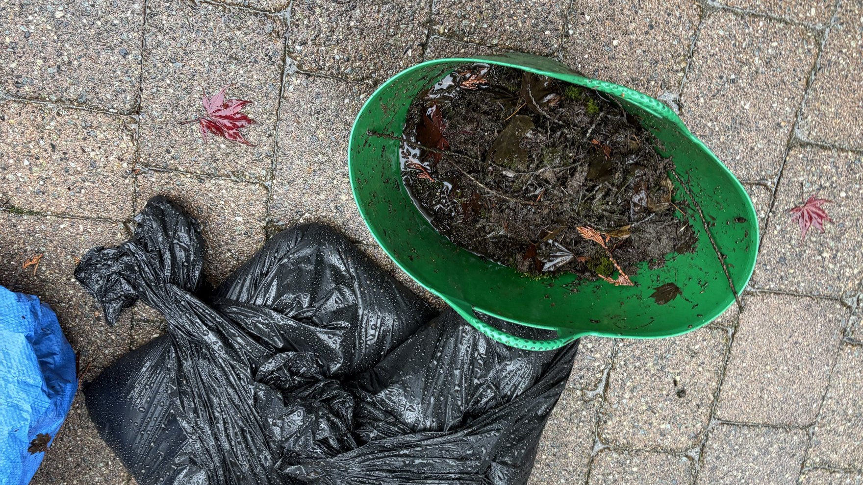 A scoop of wet leaves and moss lifted out of a gutter on an EKL Cleaning job, with the bagged debris on the driveway below